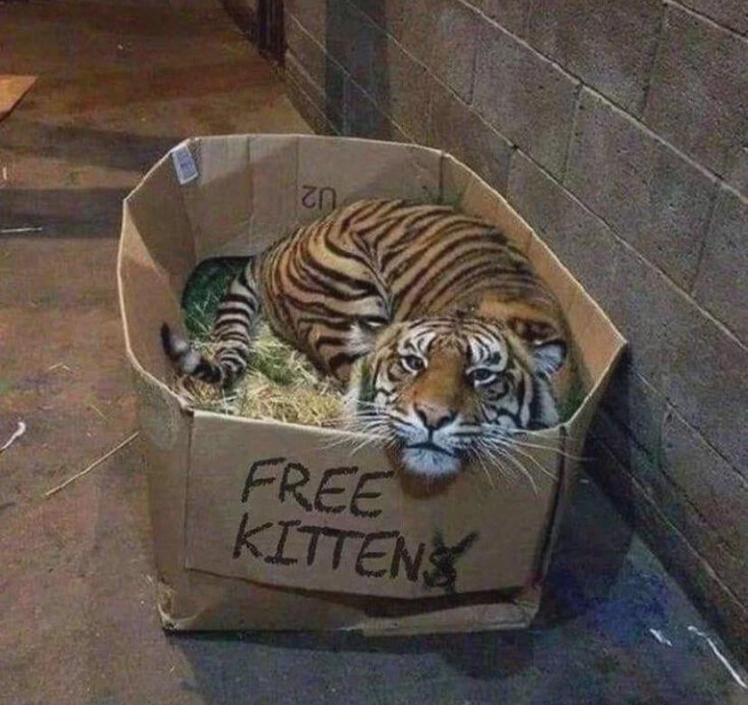 braucht jemand die adresse?