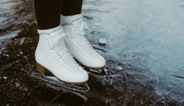 Croatian Company Builds Largest Ice Park in Switzerland