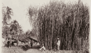 Colonial rekening: what does the Netherlands owe Indonesia?