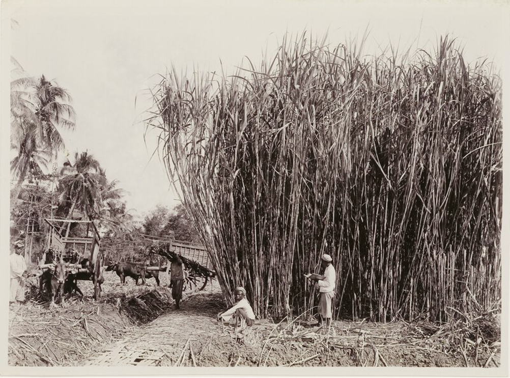 Colonial rekening: what does the Netherlands owe Indonesia?