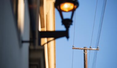 Biomass is a money pit that won’t solve energy or wildfire problems - Biomass energy — electricity made by burning or gasifying trees — is an expensive, dirty relic that relies on industry misinformation and taxpayer money.