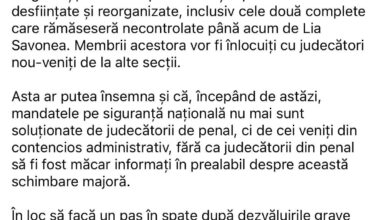 Stelian Ion ne arata faptul ca Lia Savonea tocmai a dinamitat sectia penala care ii poate ancheta pe magistrati