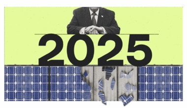 One word sums up climate politics in 2025: Greenlash