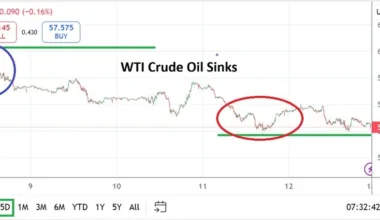 Crude Oil Weekly Forecast 14/12: Support Challenge (Chart)