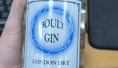 A guy at work makes his own homemade gin, guess what he got me for Secret Santa