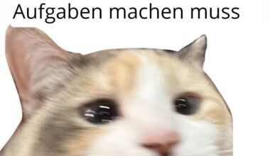 ich😖iel