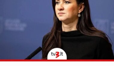 Kiaulės akys sarmatos neturi. Meluoji savo rinkėjams, atleidi čekutininkams, susidedi su penkta kolona, skubos tvarka griauni laisvą Lietuvą, partijos ideologiją statai ant neapykantos TSLKD, apdovanoji Fegda naujais kontraktais, blokuoji komentarus. Ir tada skundies, kad tavęs negirdi.