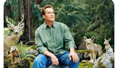 ich👨🏼‍🌾iel