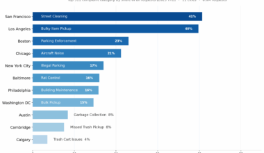 [OC] I analyzed 6.6 million 311 complaints. Here is the top category in each city