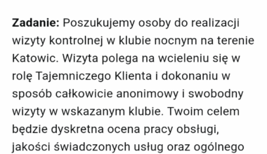 Ciekawa oferta pracy