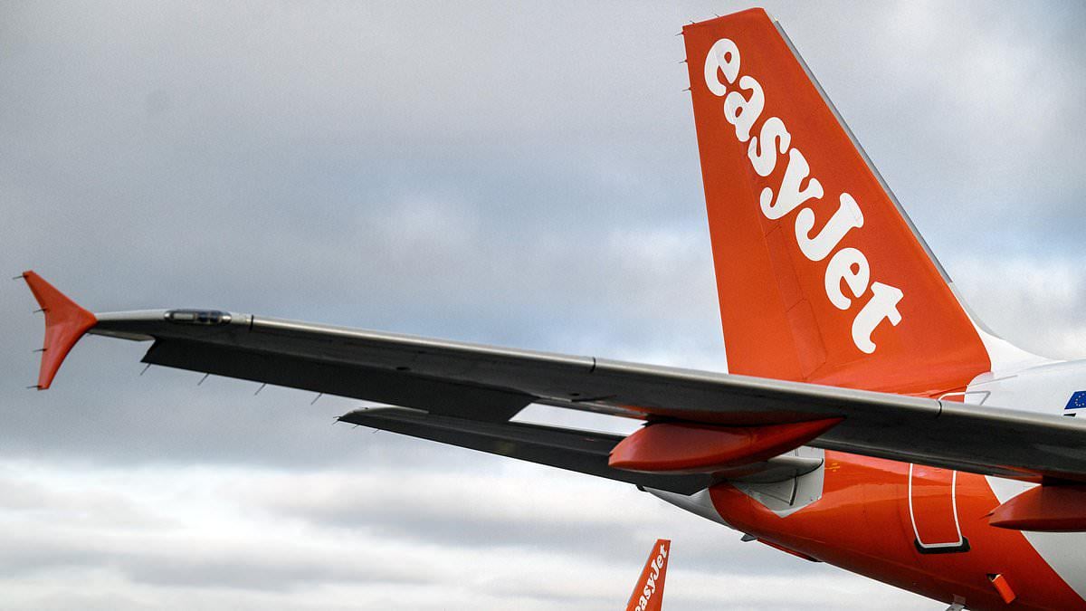 'She looked dead': Passengers tell of moment they thought a British family 'wheeled gran's body onto easyJet flight then told crew she was just tired'