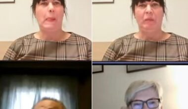 Kai pamatai P. Dargį vs kai pamatai konservatorių