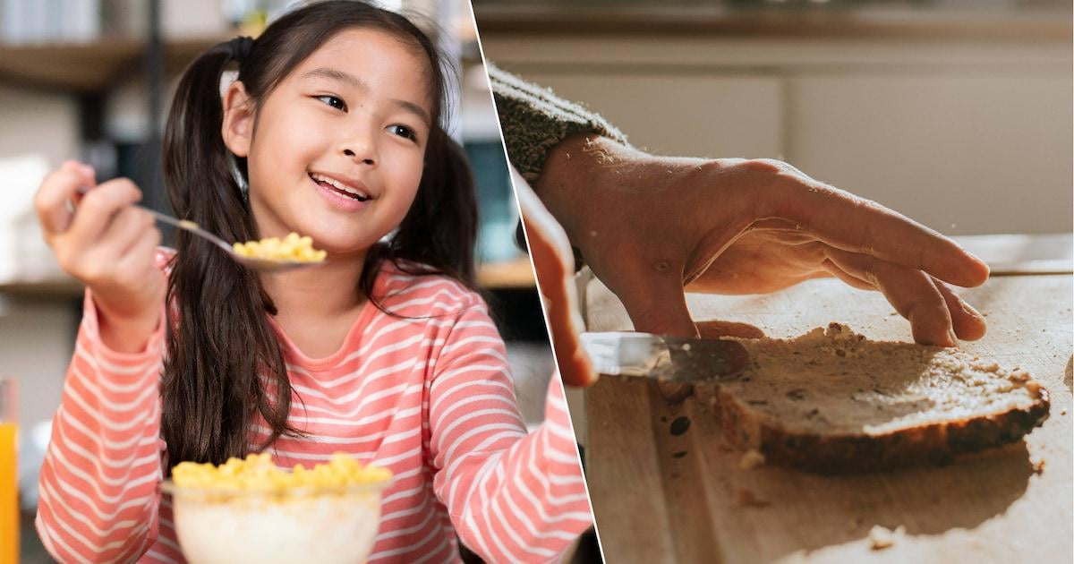 Hoge dosissen PFAS aangetroffen in Europese ontbijtgranen: Belgisch volkorenbrood bij de “meest besmette” producten