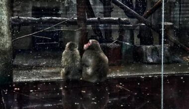 Juhuslikud fotod Tallinnast. Part 3