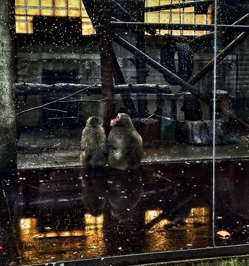 Juhuslikud fotod Tallinnast. Part 3