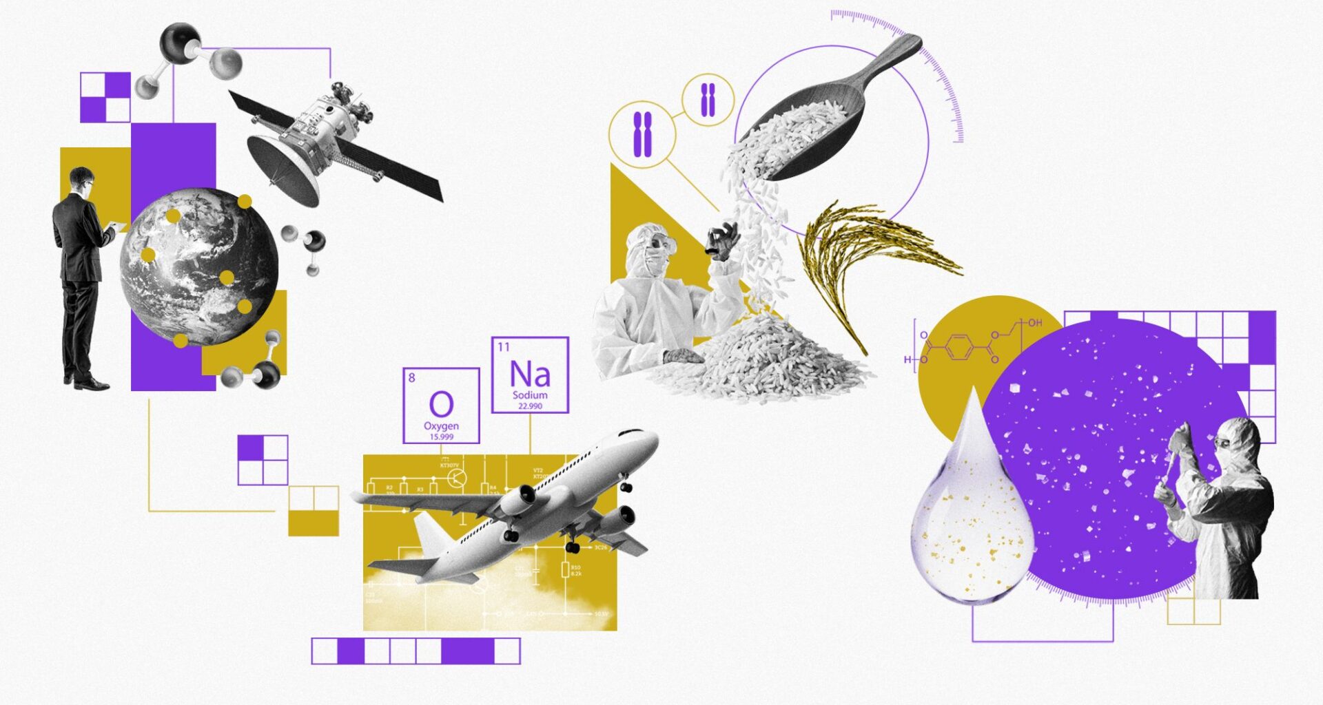Environment breakthroughs of 2025 | The Week