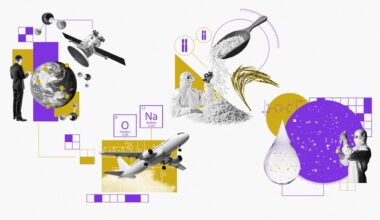 Environment breakthroughs of 2025 | The Week