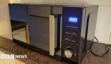 Microwave does not make room a flat, judge rules