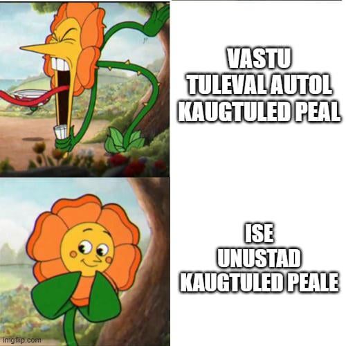 Kaugtuled — topeltstandardite meisterklass