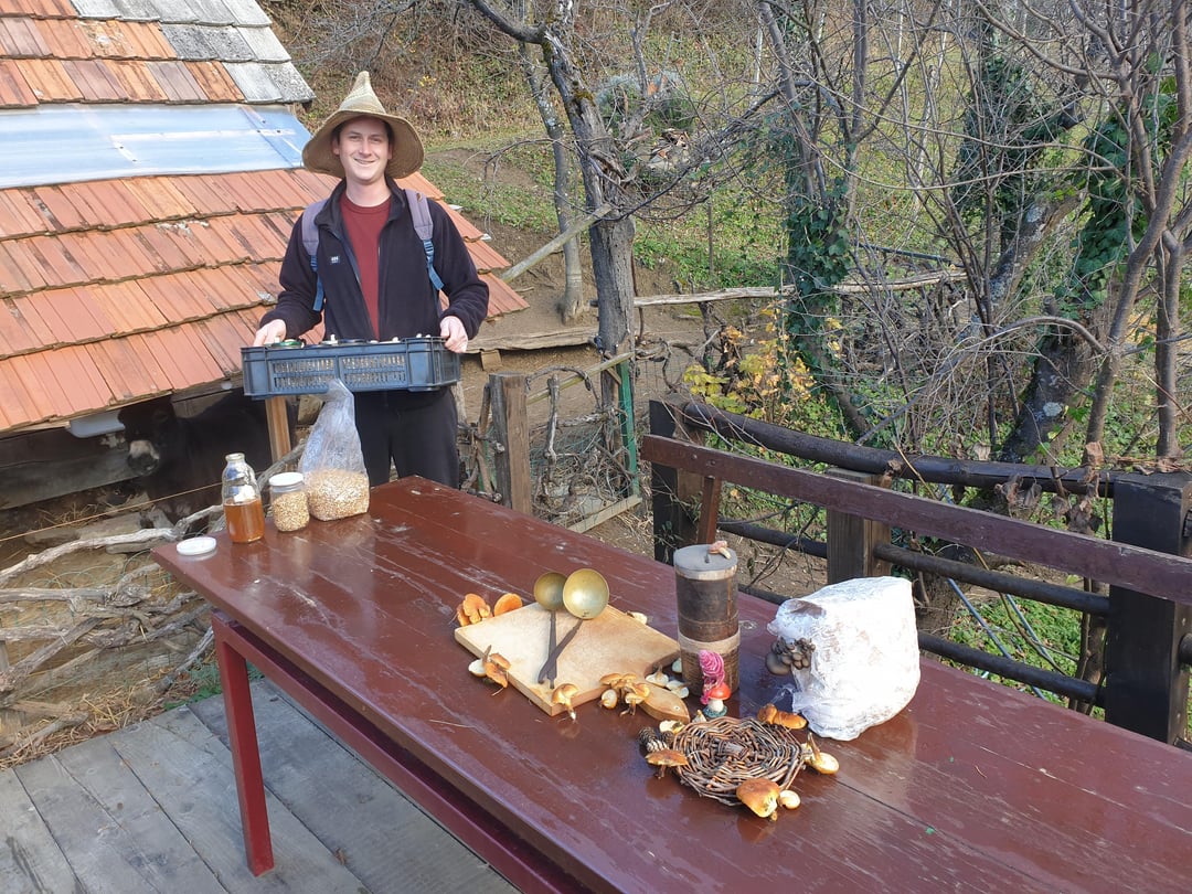 Nekaj redditov-k/cev se nas je dobilo na delavnici gojenja gob v vrečah (utrinki)