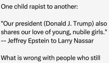 Pedo President denies flying to Epstein Island at least 8 times…because if the redactions stop, MAGATs might accidentally read something.