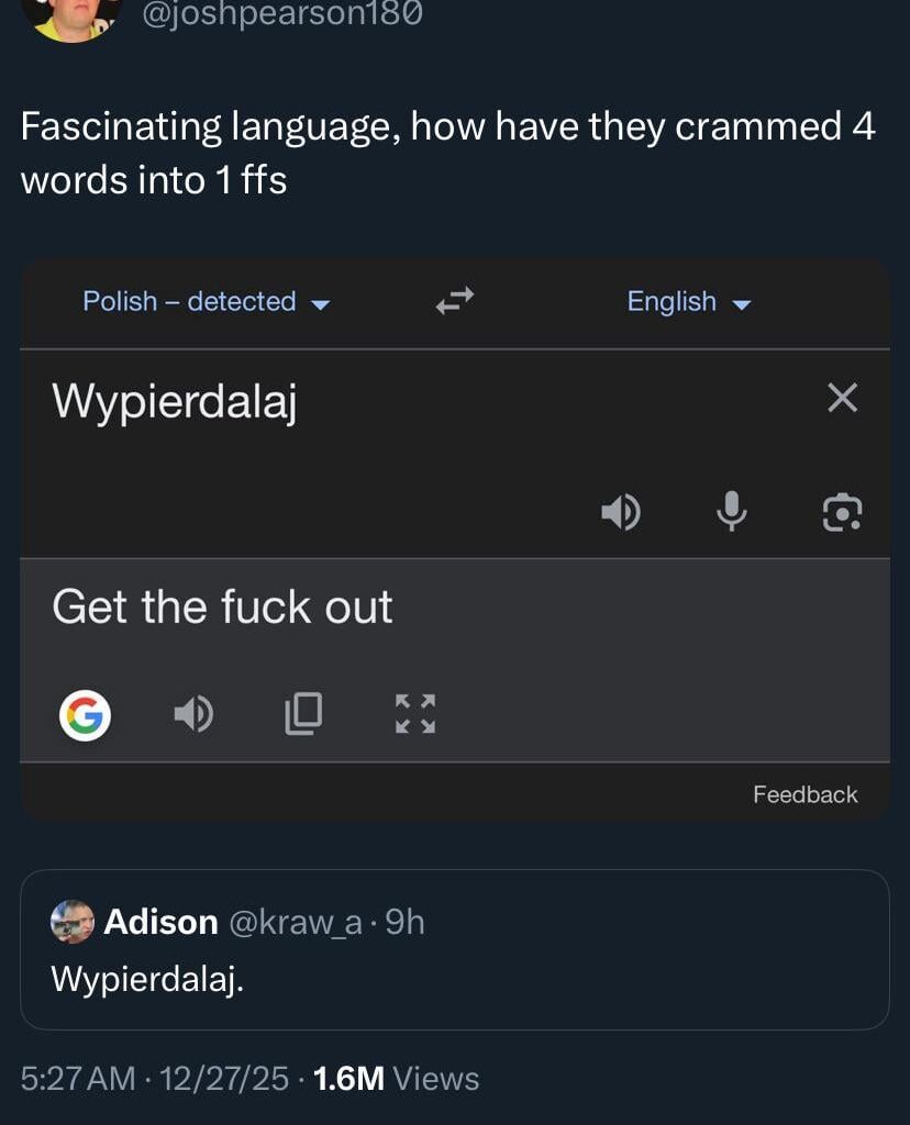 Twitter discovers versatility of Polish