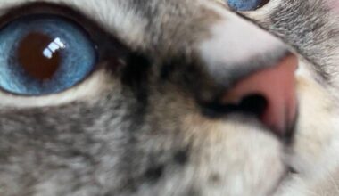 Russian oil refinery in Tuapse is currently under drone attack.