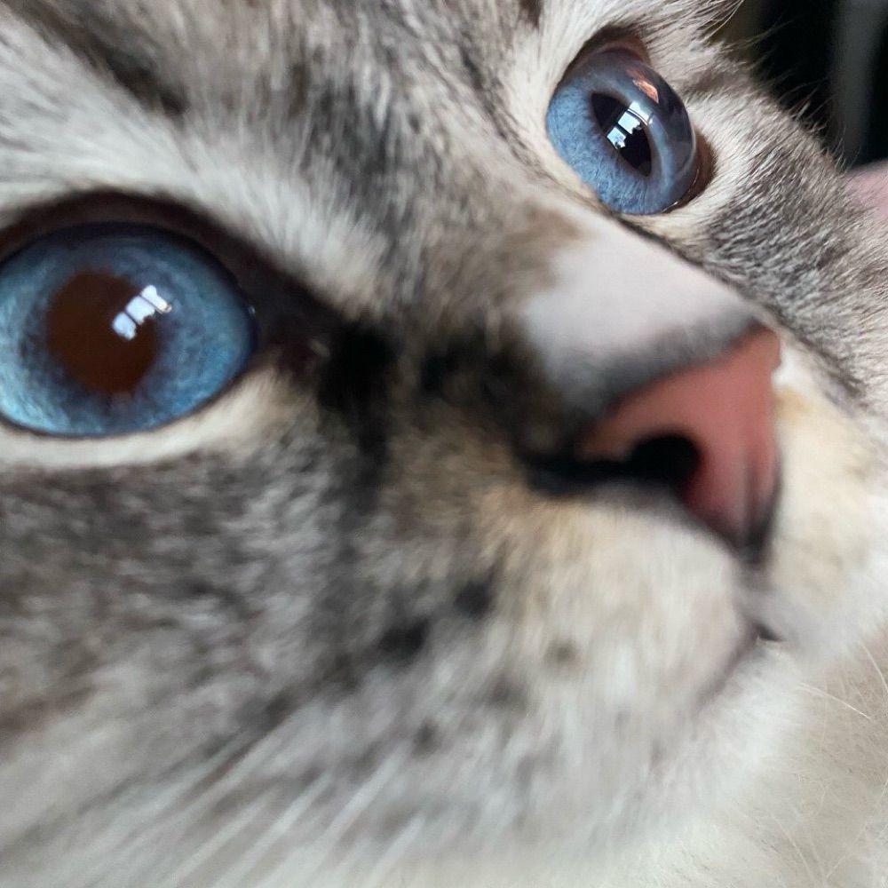 Russian oil refinery in Tuapse is currently under drone attack.