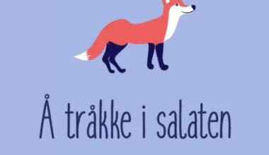 I (32M) would really like a chatty Norwegian friend, a native speaker to help me learn the wonderful language 😆