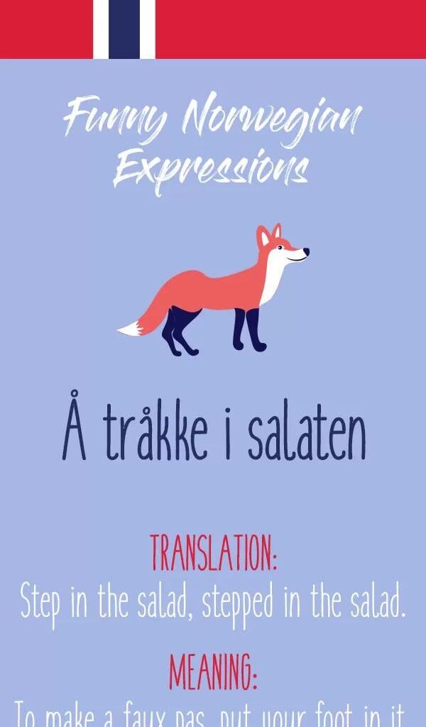 I (32M) would really like a chatty Norwegian friend, a native speaker to help me learn the wonderful language 😆