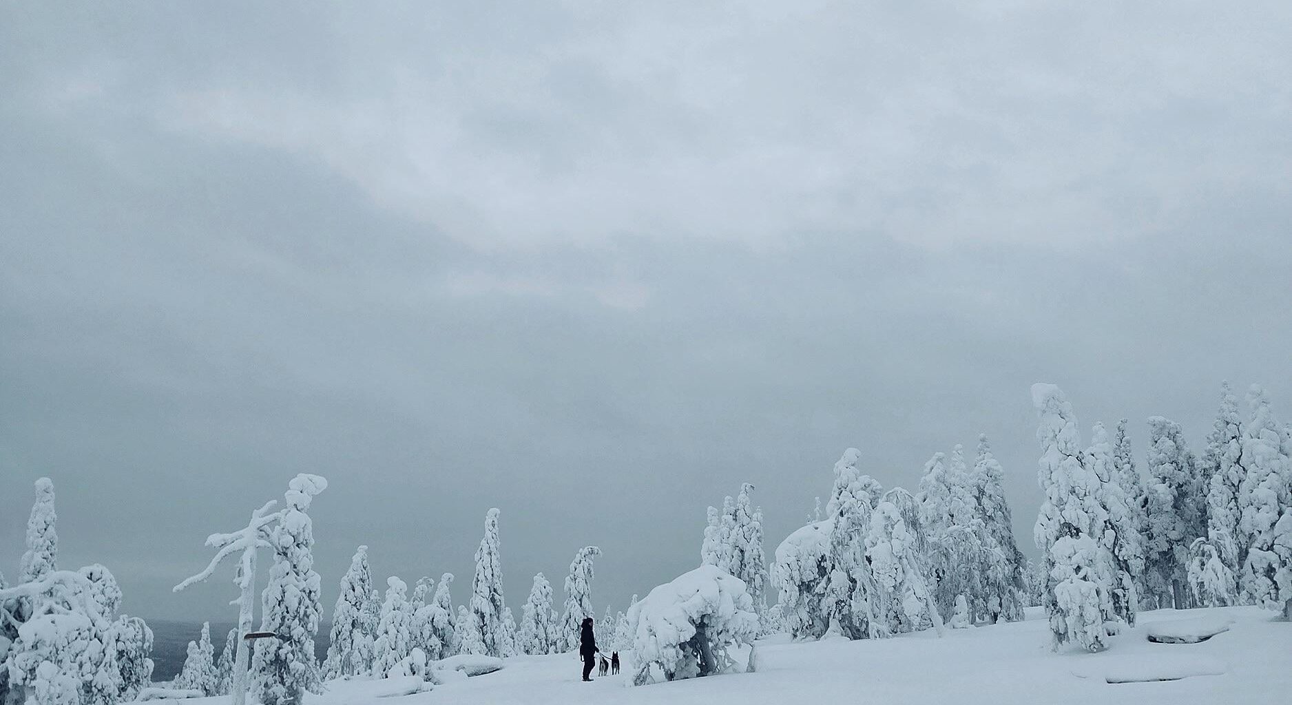 Throwback photo from 2022 when visiting Lapland, the trip was absolutely worth it!