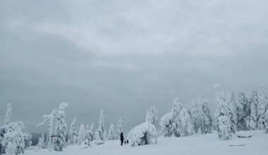 Throwback photo from 2022 when visiting Lapland, the trip was absolutely worth it!