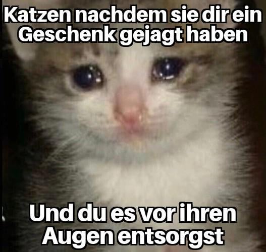 Ich😿iel