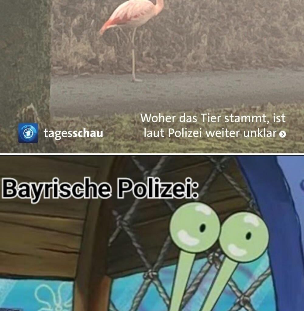 Ich_iel