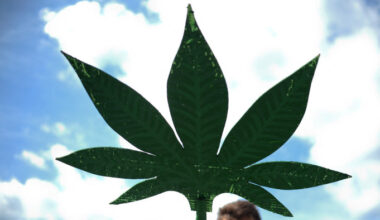 Zöld utat kapott az orvosi kannabisz Bosznia-Hercegovinában