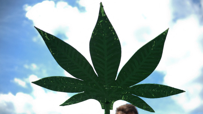 Zöld utat kapott az orvosi kannabisz Bosznia-Hercegovinában