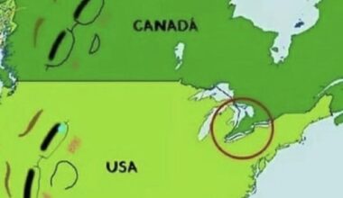 Les Méricoins aviant Trumpipi et compagnie