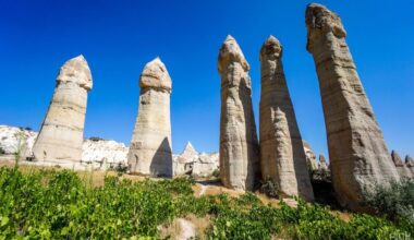 T...de maa küll :D Ja see on olemas...