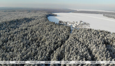Belarusian farmers to learn from last year’s harvesting, sowing campaigns
