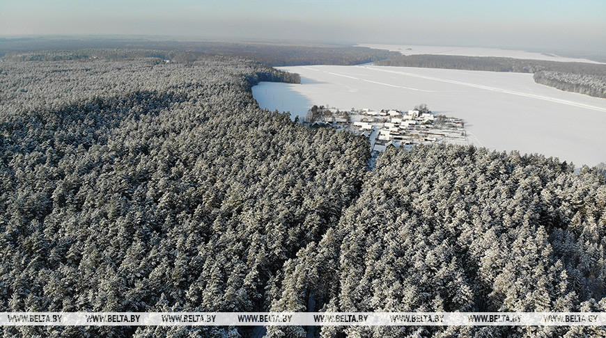 Belarusian farmers to learn from last year’s harvesting, sowing campaigns