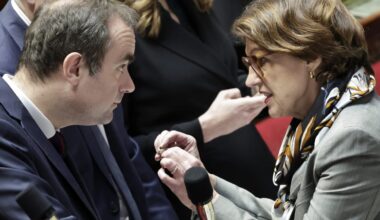 France will suspend imports of South American products containing substances banned in Europe