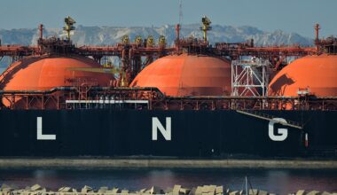 Slovakia and Hungary to sue EU over Russian gas ban