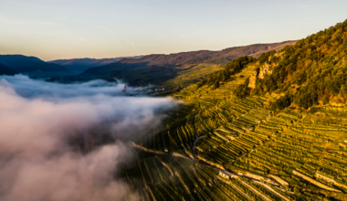 Why Austria’s Wachau is a region all wine buyers should worship