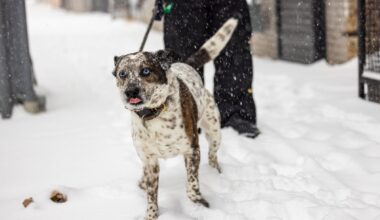 Philadelphia snow updates: Latest forecast, storm timing and more