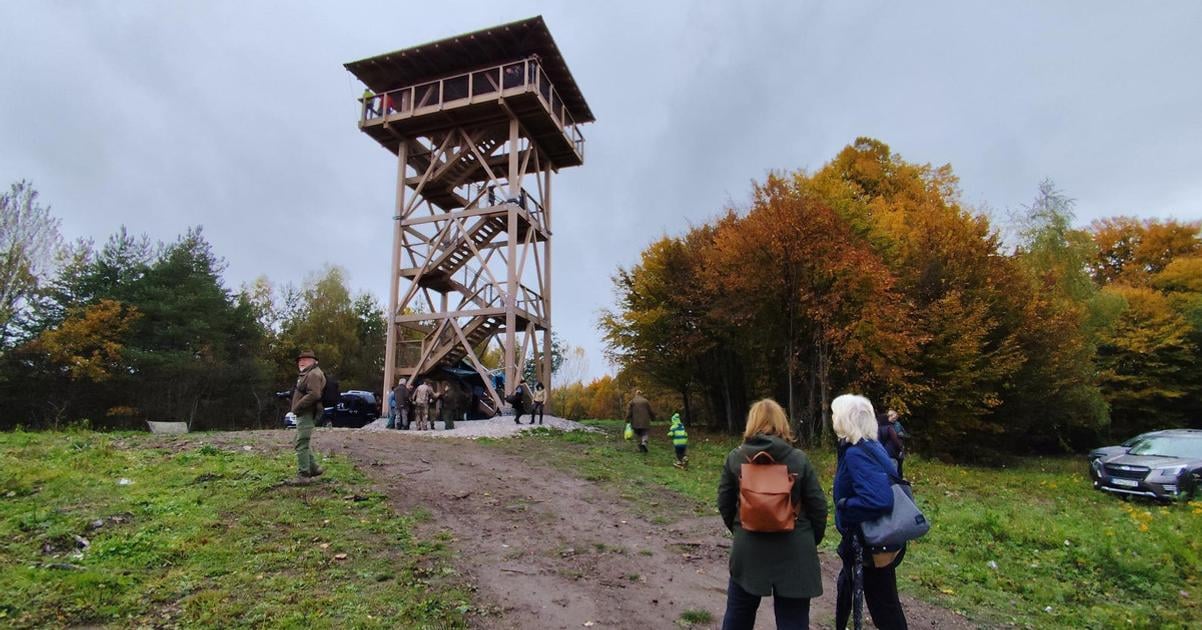 Post-mining revival in Slovakia: how Handlová transformed a coal site into a forest attraction