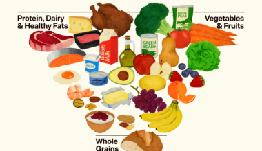 Trump Administration Puts Real Food First in Dietary Guidelines – The White House