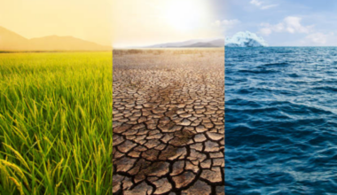 Report: Actuaries warn climate risks are accelerating beyond insurance planning