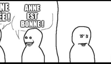 mon premier meme de l'année