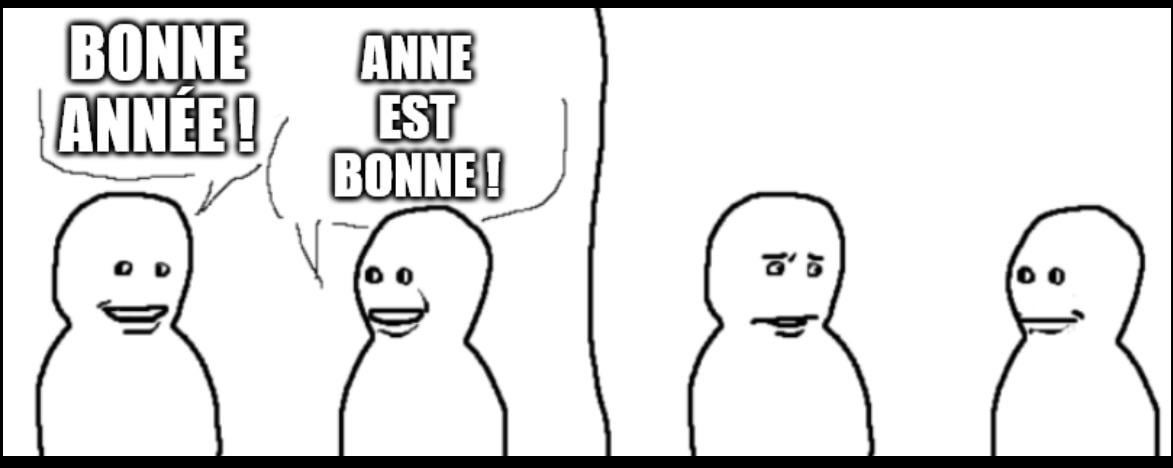 mon premier meme de l'année