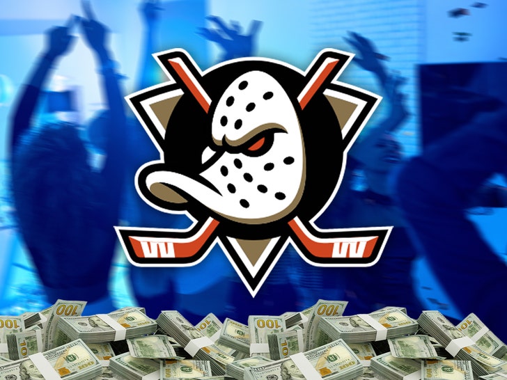 anaheim ducks party main gettu